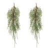 Melrose Foliage Twig Swag (Set of 2) - 2 of 4