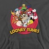 Looney Tunes Smaller Group Adult Pull-Over Hoodie - 2 of 4