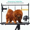 43.6" Pet Grooming Table for Large Dogs, Heavy Duty Height Adjustable Dog Grooming Table With Overhead Arm & Noose Height Range 22''-39'', Black - 3 of 4