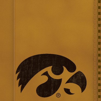 iowa hawkeyes