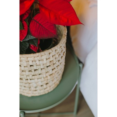 Mo's Crib Medium Honeycomb Basket