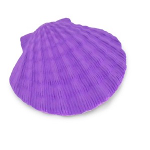 Collectible Wildlife Gifts | Scallop Shell, Lion's Paw, Purple Shell, Ocean, Sea Life, Plastic Model,  Animal, Life Like, Gift,  1 7/8"   F4109 B96 - 1 of 4