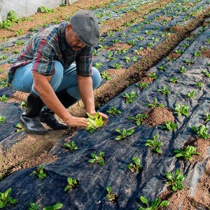 coucheta 3*300 FT Weed Barrier Fabric Heavy Duty - Landscape Fabric | Easy Install & Rugged Plastic Ground Cover Weed Barrier with UV Protection - 1 of 4