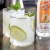 Master of Mixes Cocktail Essentials Triple Sec Syrup - 375ml Bottle (12.7 Fl Oz) - Mixer Perfect for Bartenders and Mixologists - 2 of 4