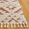 Moroccan Tassel Shag MTS688 Non-Shedding Power Loomed Indoor Rugs - Safavieh - 3 of 4