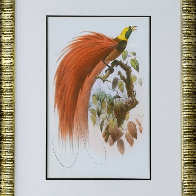 Set of 2 Colorful Bird Prints with Gold Frames