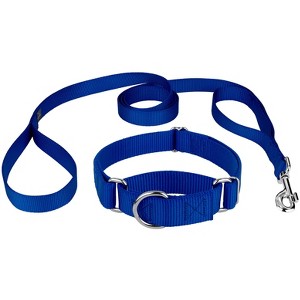 Country Brook Design Martingale Heavyduty Nylon Dog Collar and Double Handle Leash - 1 of 4