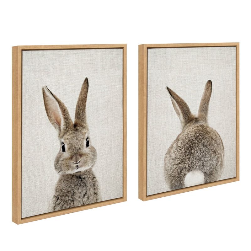 18" x 24" (Set of 2) Sylvie Bunny Portrait and Tail By Amy Peterson Framed Wall Canvas Set - Kate & Laurel All Things Decor, 3 of 7