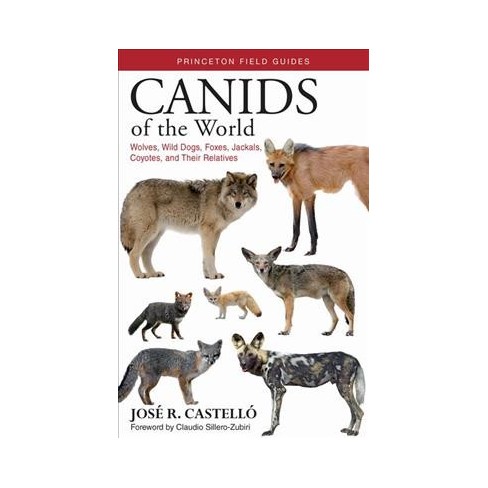 Canids Of The World Wolves Wild Dogs Foxes Jackals