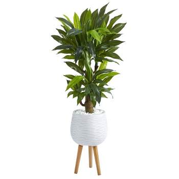 Nearly Natural 46-in Corn Stalk Dracaena Artificial Plant in White Planter with Stand (Real Touch)