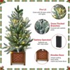 2ft Snow Flocked Pre-Lit Tabletop Christmas Tree with 30 Lights and Wooden Pot, Battery Powered - 4 of 4