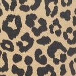 animal print