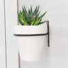 Esterno Wall Mounted Planter Rings w/ Pots 4pk, Metal Plant Holders w Mini Clay Pots - 4 of 4