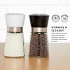 Kamenstein Prefilled Glass Grinders, Set of 2 - 2 of 4