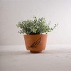 Leaf Accent Terracotta Planter - Foreside Home & Garden - image 2 of 4