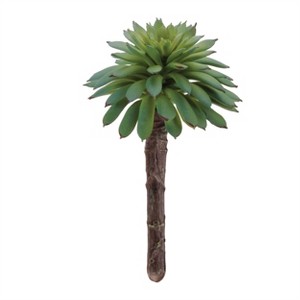 Succulent Plant Pick (Set of 12) - 1 of 3