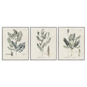 Stupell Industries Green Botanical Latin Study, 24" x 30" - 1 of 4