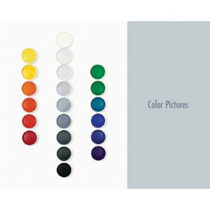 Color Pictures - by  Frances Colpitt (Paperback) - 1 of 1