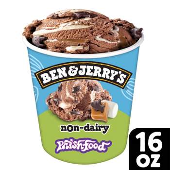 Ben & Jerry's Non-Dairy Phish Food Chocolate Frozen Dessert - 16oz