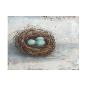 Trademark Fine Art -Ethan Harper 'Rustic Bird Nest I' Canvas Art - 1 of 4