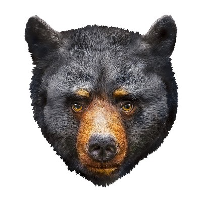 Black Bear Shaped 100 Piece Jigsaw Puzzle