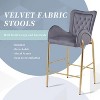 28.75inch Counter Height Bar Stools Set of 2, Bar Height Arm Chairs, Velvet Fabric Stools with Golden Legs and Footrests,Gray - 2 of 4