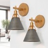 LNC Nero 6-in W 2-Lights Modern/Contemporary  Wall Lights,2 Pack, Gold/Gray - 2 of 4