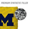 NCAA Michigan Wolverines 4pk Yellow Toss Game Set - 4 of 4