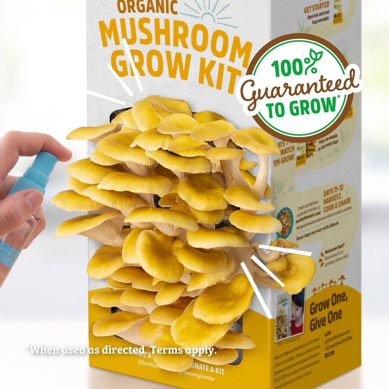 Back to the Roots Organic Mushroom Grow Kit Golden Oyster, 6 of 10