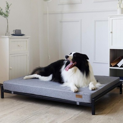 Large Gray Elevated Outdoor Dog Bed with Orthopedic Foam Mattress