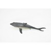 CWG | Shark, Great White, Museum Quality Rubber Model, Toy, Figure    6"      CWG143 BB28 - 4 of 4