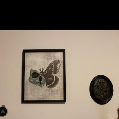 Guest review image 1 of 1, zoom in