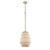 Crystorama Lighting Zanzibar 1 - Light Pendant in  Soft Gold - 2 of 3