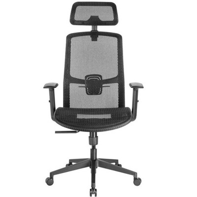 Black Mesh Ergonomic Office Chair with Adjustable Arms and Headrest