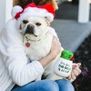 Pavilion Gift Company - Dear Santa - 15.5 oz Mug and Sock Set - Drinkware - 4 of 4