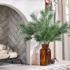 25" Pine in Amber Vase Artificial Arrangement - Hearth & Hand™ with Magnolia - 2 of 3