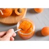 Organic Apricots - 1lb - 2 of 4