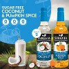 Syruvia Sugar Free Coffee Flavors Variety Pack: Pumpkin Spice & Coconut 25.4 fl oz Syrup - 2 of 4