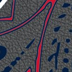 washington capitals