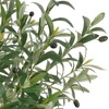 Artificial Olive Tree, Faux Olive Tree with Tall White Planter, Ideal for Home Decor and Housewarming Gift - 3 of 4