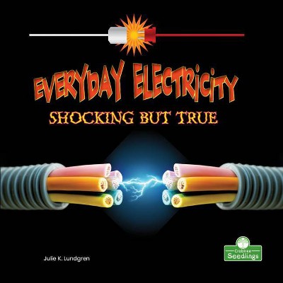 Everyday Electricity, Shocking But True - (Science in My World: Level 2) by  Julie K Lundgren (Paperback)