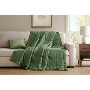 Sapphtopaz 1PC Lightweight Down Alternative Blanket, All Seasons Comfort Throw Blanket, Satin Trim Blanket, Machine Washable and Steam Iron - 1 of 4