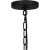 Quoizel Lighting Damien 1 - Light Pendant in  Earth Black - 2 of 3