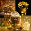Perfect Holiday 10ft 30 LED Fairy String Microdot Battery Operated Indoor Light - Warm White - 4 of 4