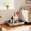 PawHut Dog Potty Tray Stainless Steel, Dog Training Tray for Small and Medium Dogs, for Porch, Bathroom, Balcony, 28" x 20" x 4" - 3 of 4