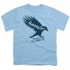 Boys' Harry Potter Ravenclaw Wordcraft T-Shirt - 2 of 4