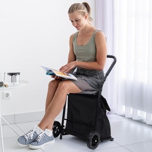 Acekool 2-in-1 Foldable Hand Truck Utility Cart with Removable Waterproof Bag, Thick Seat Cushion & Adjustable Non-Slip Handle, Black - 1 of 4
