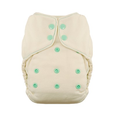 Thirsties | Natural One-Size Fitted Cloth Diaper Pack of 1