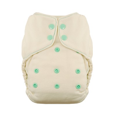 Image of Thirsties | Natural One-Size Fitted Cloth Diaper Pack of 1