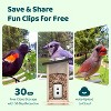 Birdfy Smart Bird Feeder with Camera, Bird Watching Camera with Solar Panel, AI Identify 6000+ Species - 4 of 4